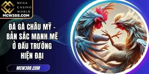 Đá Gà Châu Mỹ - Bản Sắc Mạnh Mẽ Ở Đấu Trường Hiện Đại