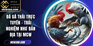 Đá Gà Thái Trực Tuyến - Trải Nghiệm Như Bản Địa Tại MCW