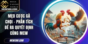 Mẹo Cược Gà Chọi - Phân Tích Để Ra Quyết Định Cùng MCW