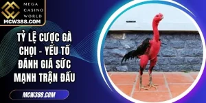 Tỷ Lệ Cược Gà Chọi - Yếu Tố Đánh Giá Sức Mạnh Trận Đấu